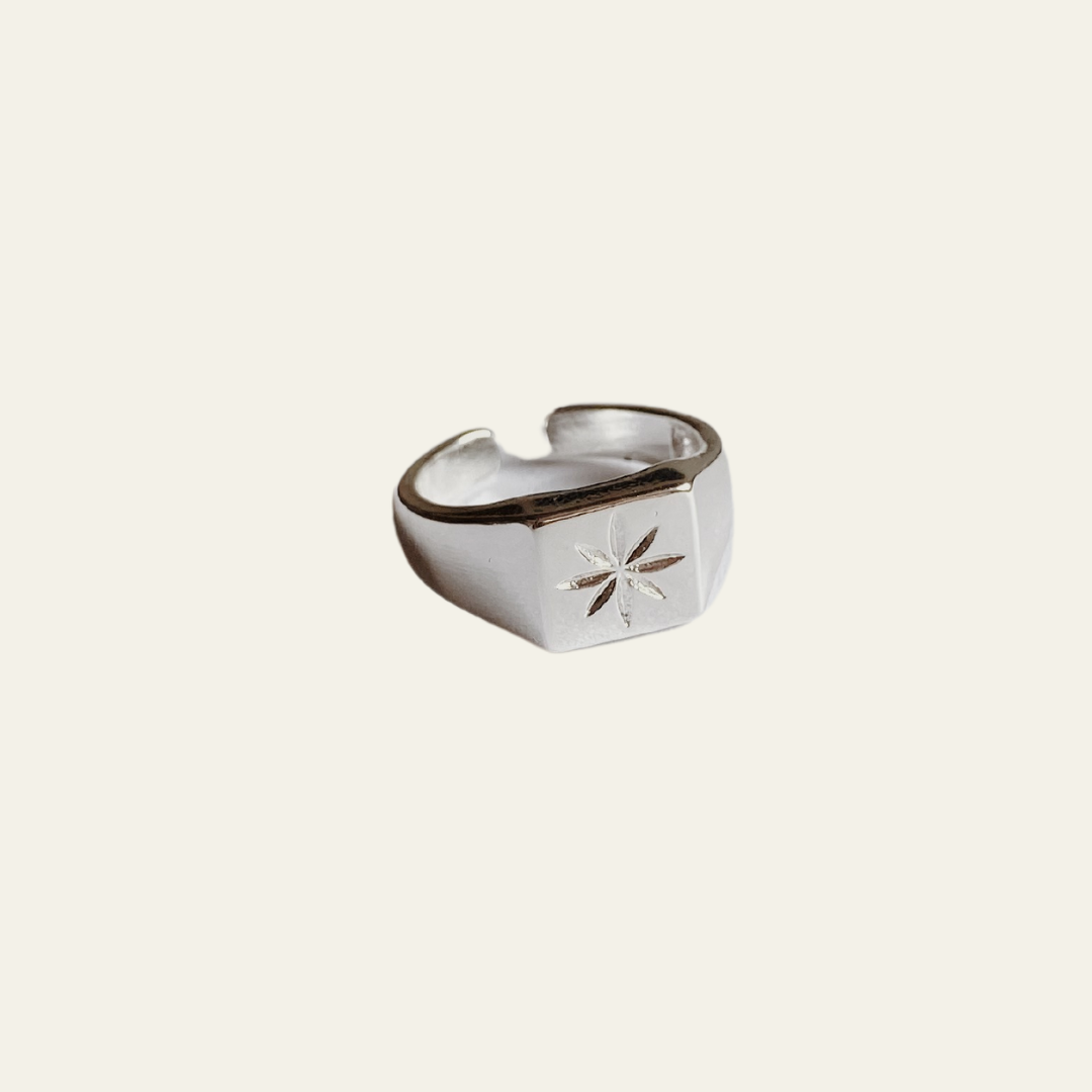 Anillos